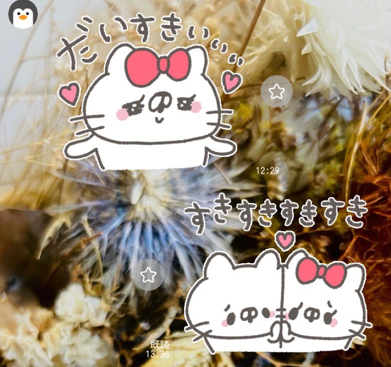 onぷᕷ꒰ ྀི ∩⸝⸝∩ ꒱♥︎ tweet media