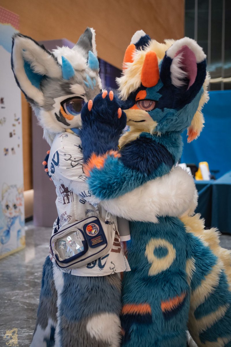 Haru Rolin tweet media