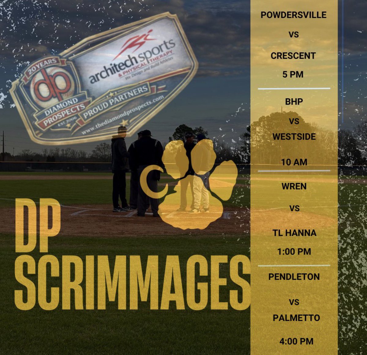 Diamond Prospects tweet media