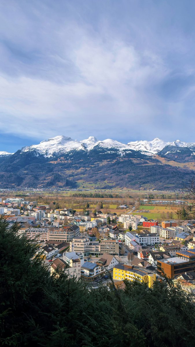 Jordan Letner tweet media