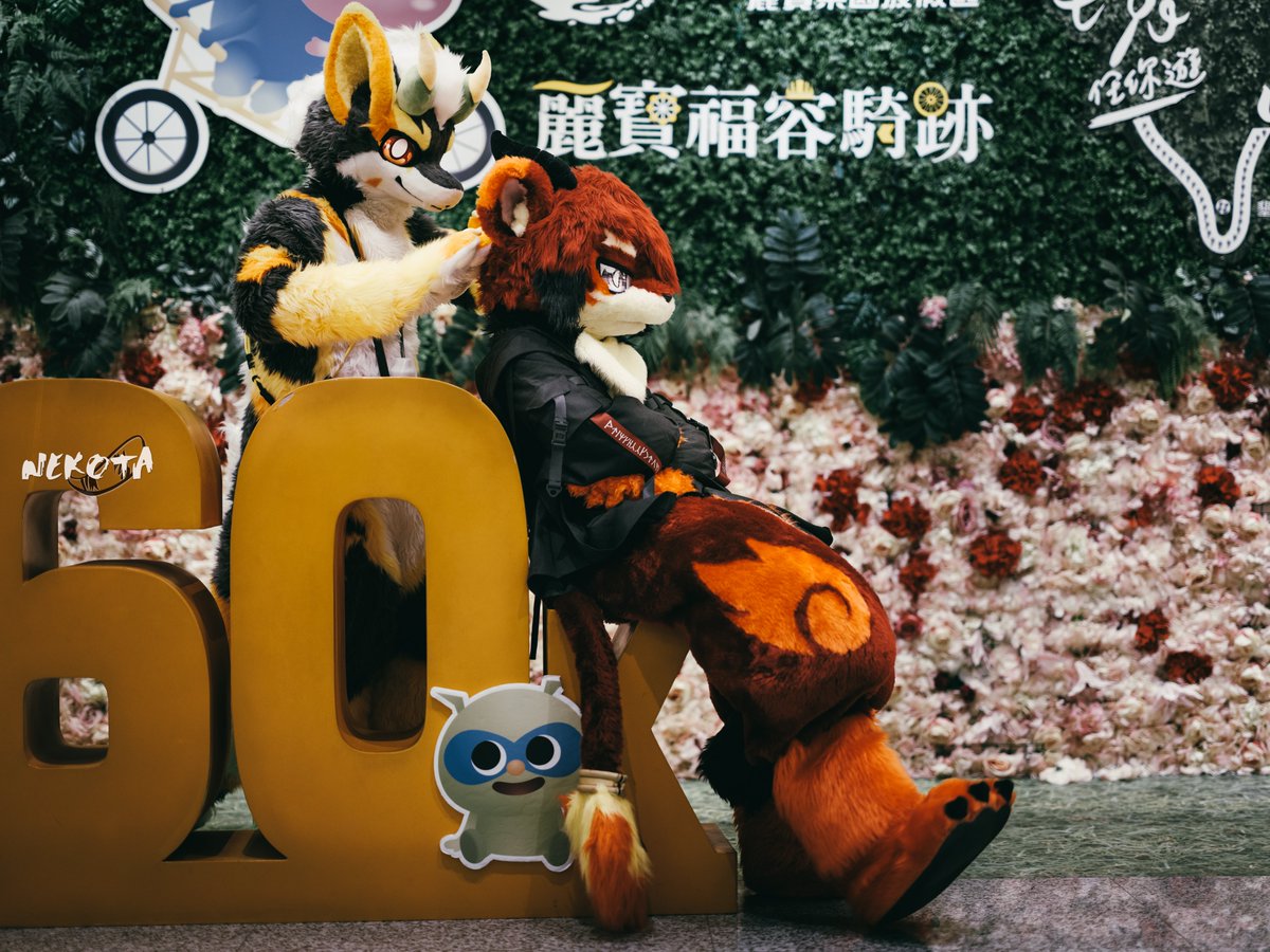 ネコタ@NEKOTA➡寺もふ tweet media