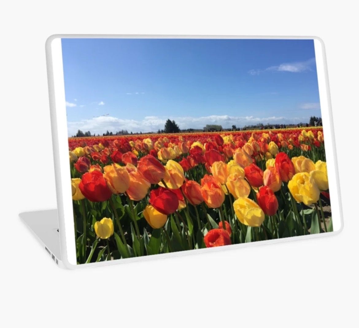 erinmdorffette's tweet photo. Take a little #vacation from work with a #laptopskin of your choosing to take you to the #beach #mountains #flowers and more
#laptopdecor #workdecor #laptop #photography #RBandMe #findyourthing
https://t.co/BRuVxPl7zF https://t.co/wkkrnWpaC7