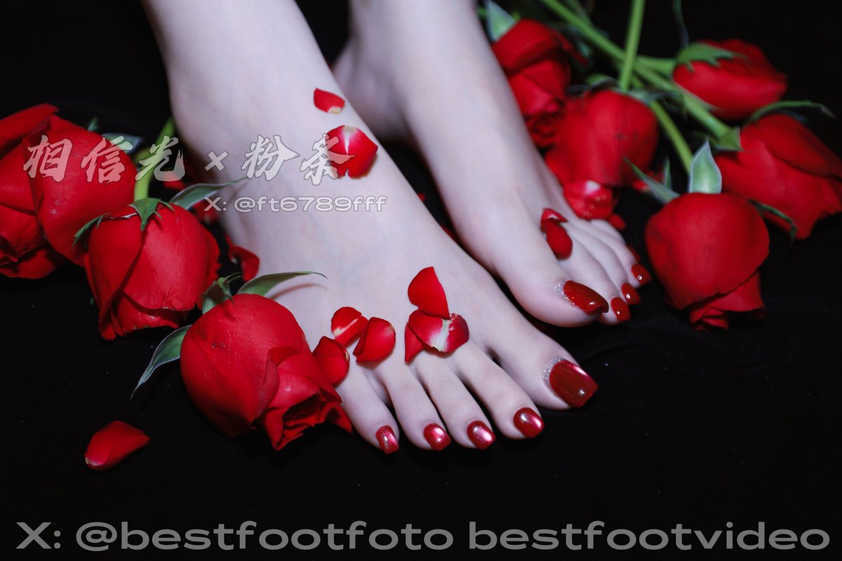 bestfootfoto's tweet photo. 皇家魔宮玫瑰 @ft6789fff https://t.co/jcbWiNB4zc