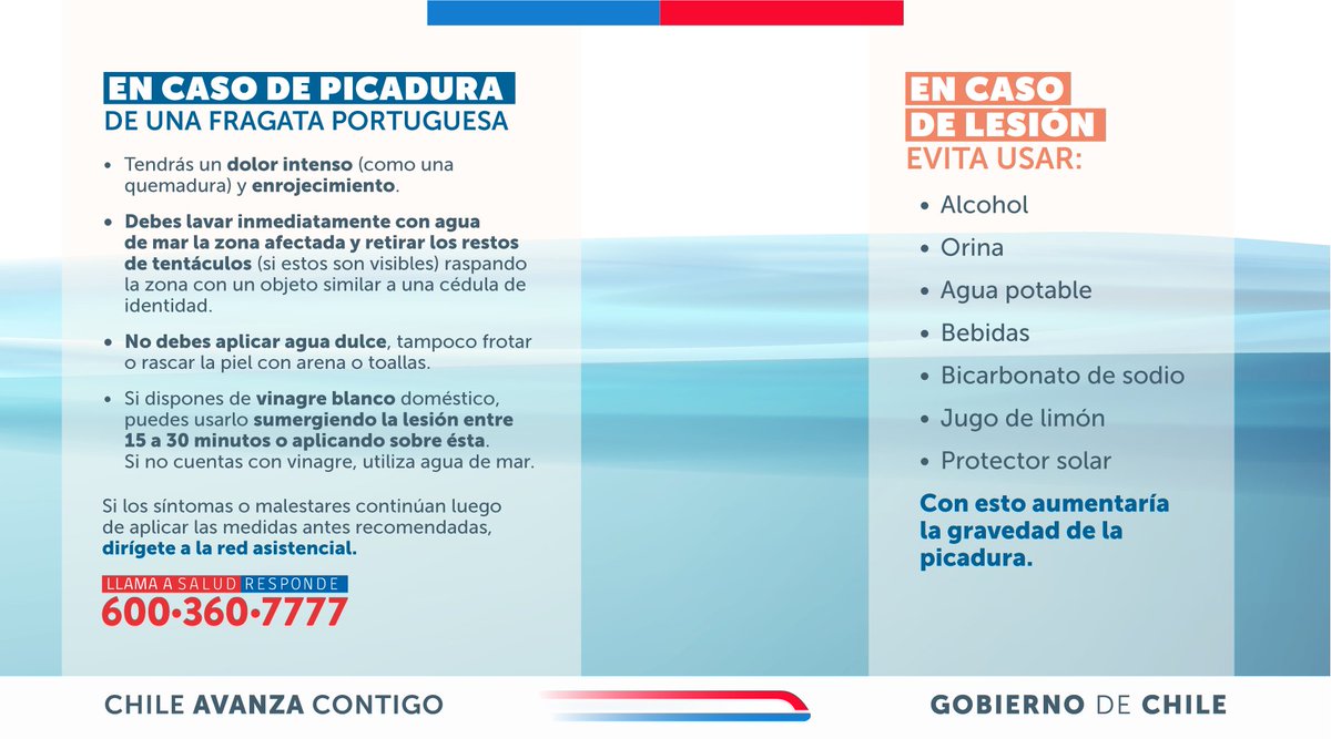 Félix Bulnes tweet media