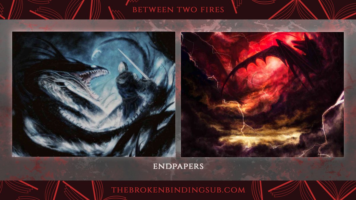 The Broken Binding | Bookstore tweet media