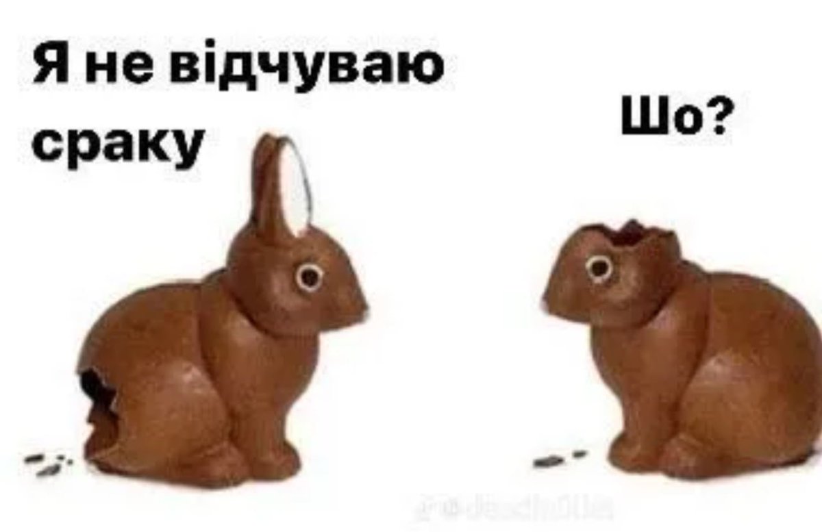 зухвала одеситка🏳️🌈🇺🇦 tweet media