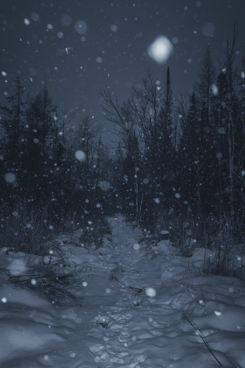 into the woods