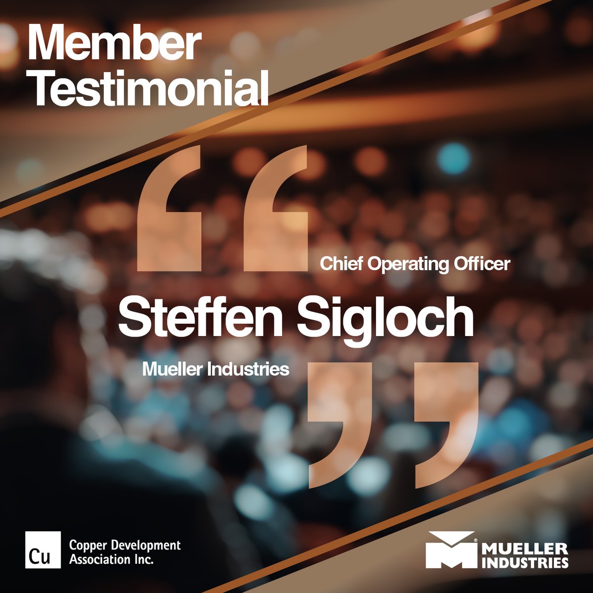 ThinkCopperUS tweet media