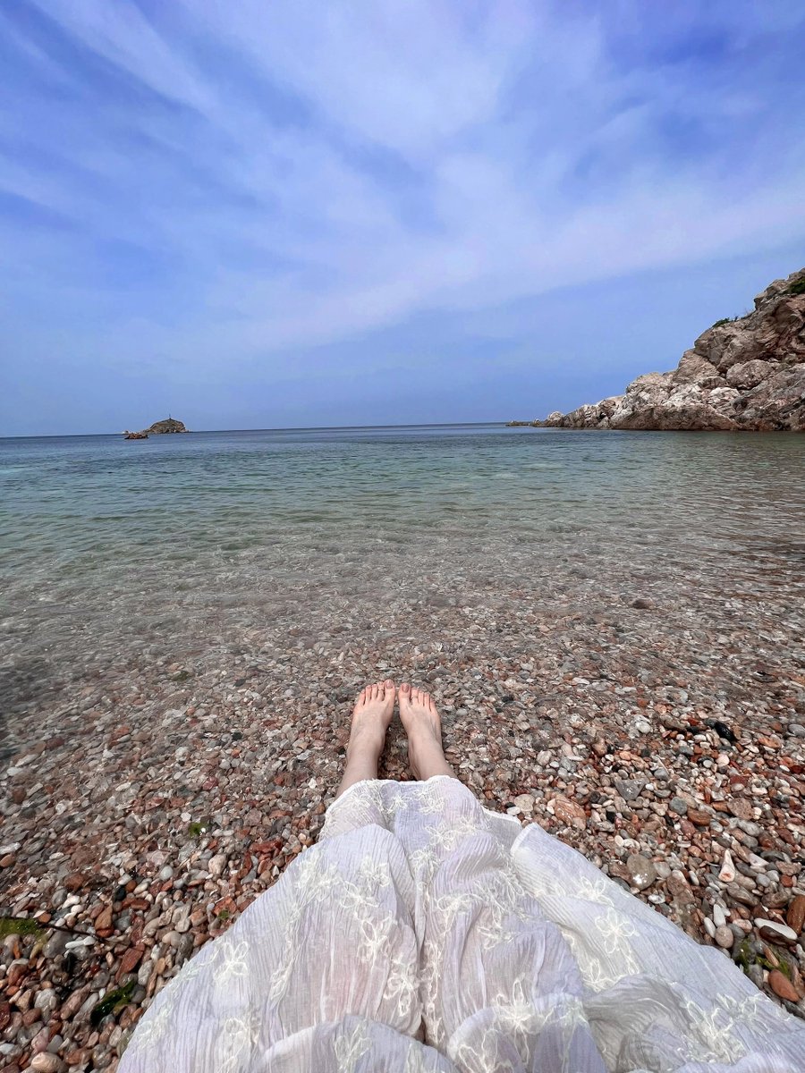 橘橘大橘猫 tweet media