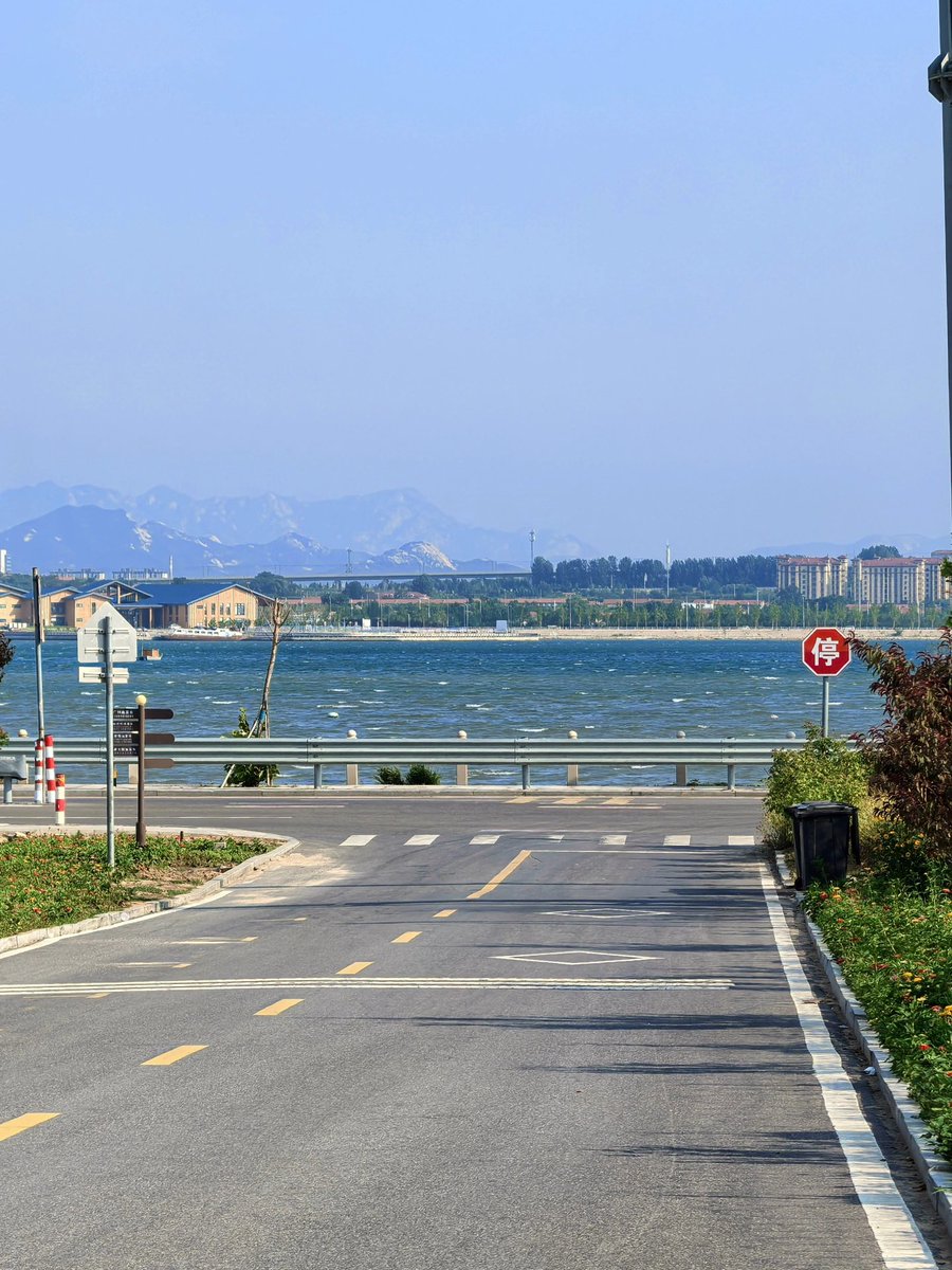 橘橘大橘猫 tweet media