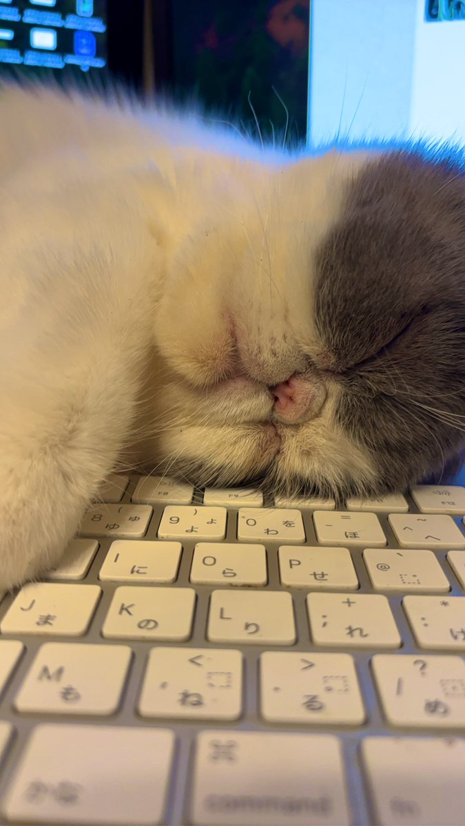 ⭐️works⭐️
kitson meとコラボすることが決定しました！

名前のインスピレーションと何故かピッタリと思ってしまいまして…
デザインは、うちの子供たちをイメージして考えてみました❤️

練りに練ったので、時間掛かりました。笑

完全受注生産で3月より受注開始予定です💪

#kitosonme