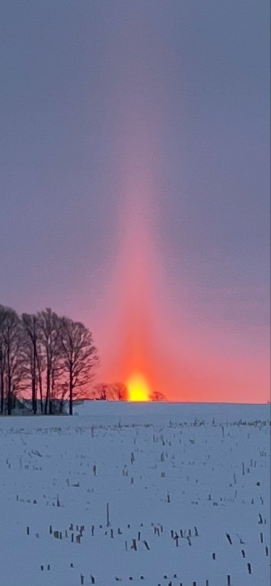 Ian Dickison tweet media