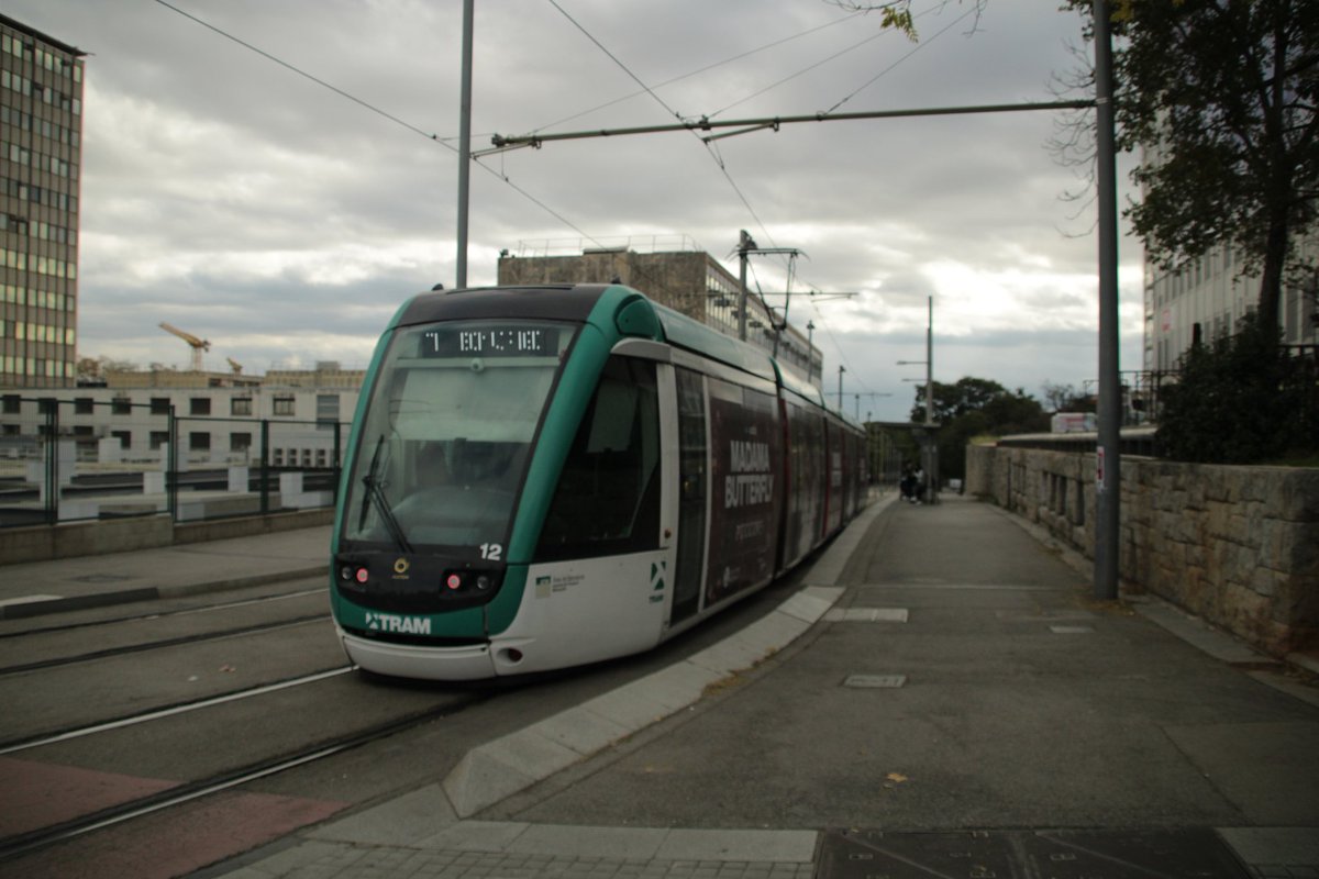 ClubFansTRAM's tweet photo. 🌧️🚋 Dia de pluja a la ciutat.

Els carrers brillen, els paraigües s’obren… i el TRAM continua el seu camí, sota la pluja 💚

Seguim sobre rails. https://t.co/kn1tOn4cMm