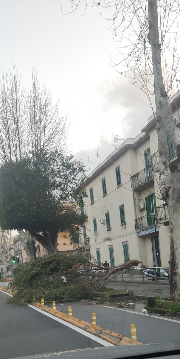 MFra91's tweet photo. Il maltempo, soprattutto vento abbastanza forte ha fatto danni in #Sicilia 
Qui prima di pensare al ponte, ci sono altre cose a cui pensare, perché con le raffiche di vento stanotte nemmeno in un ipotetico ponte si poteva viaggiare. 
#maltempo #tempesta https://t.co/2T0TiQ9Ypu