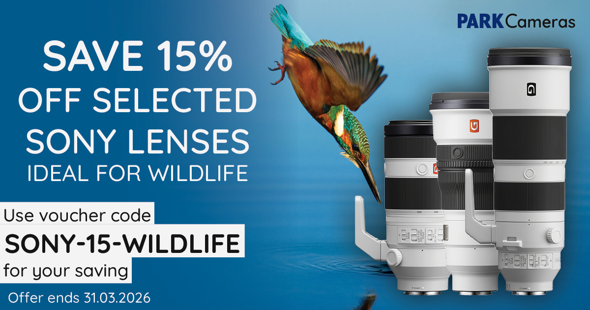 Park Cameras tweet media