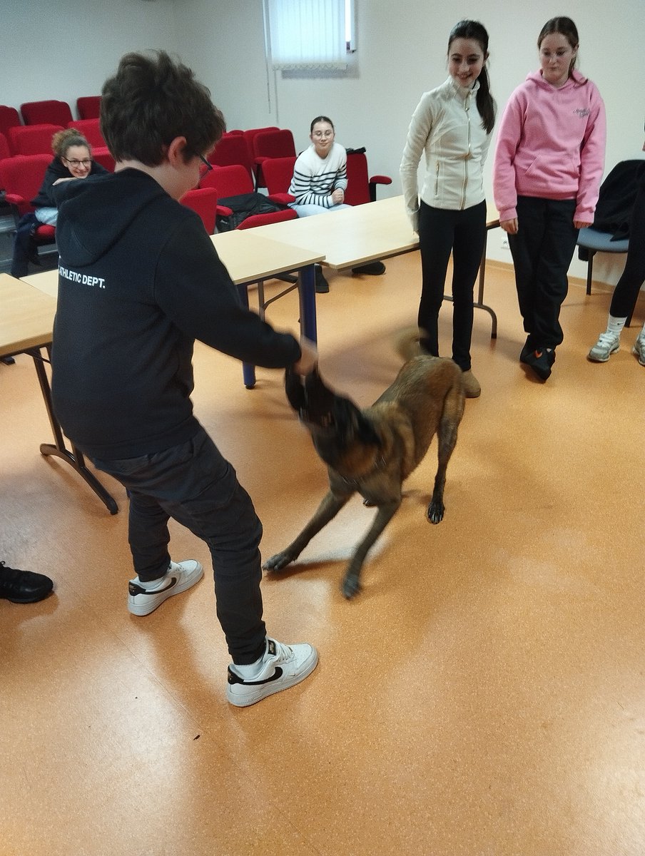 Préfet de Saint-Pierre et Miquelon tweet media