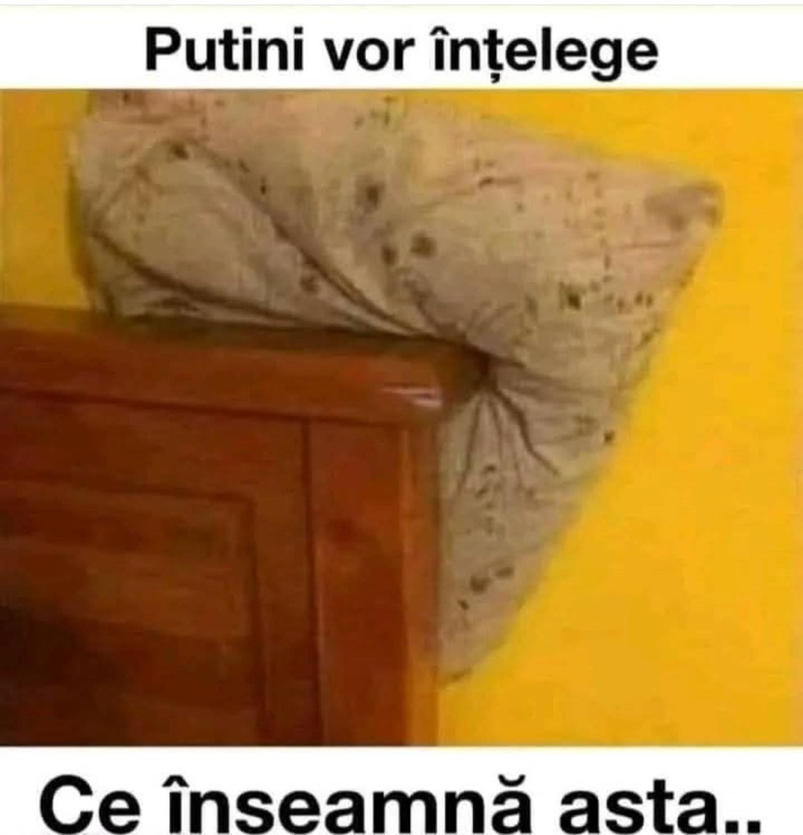Awww  👀🤣🤭