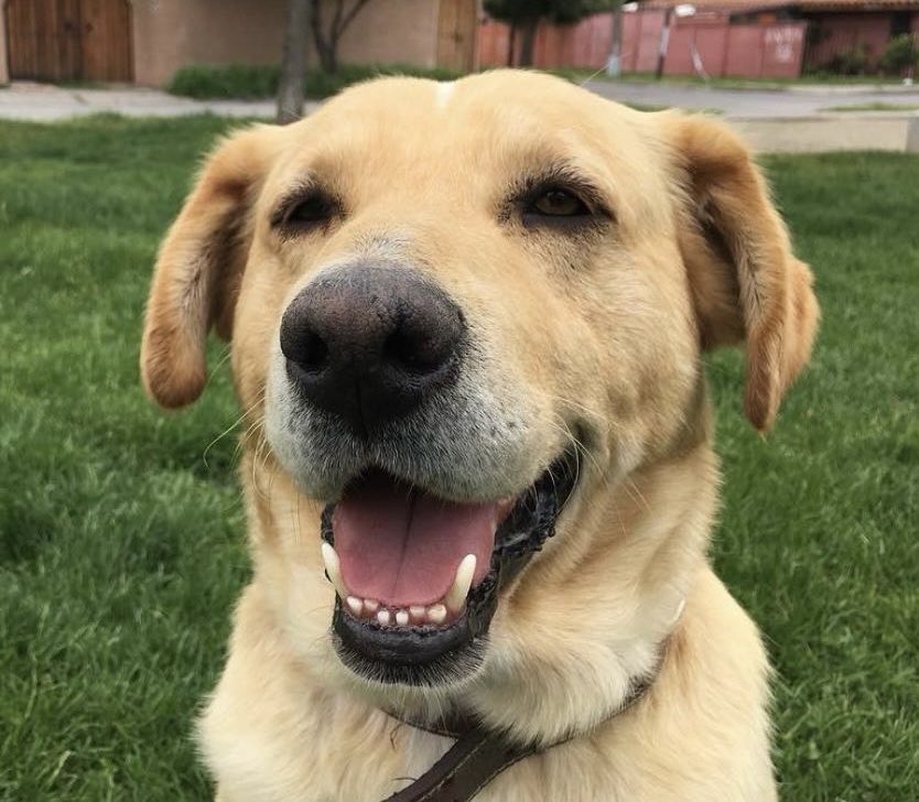 Patricia S. ☮️🚴🏻‍♀️🦮 tweet media