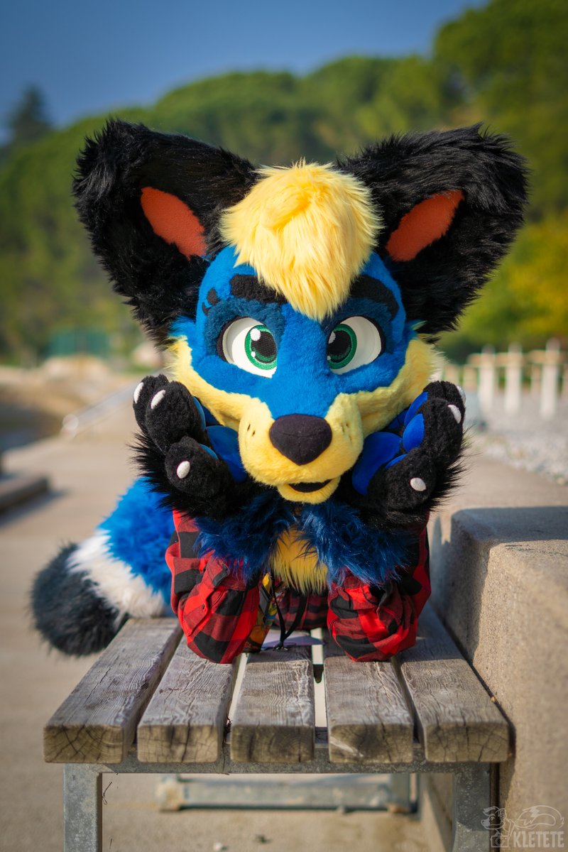 Oggy123🦊OggyTheFox tweet media