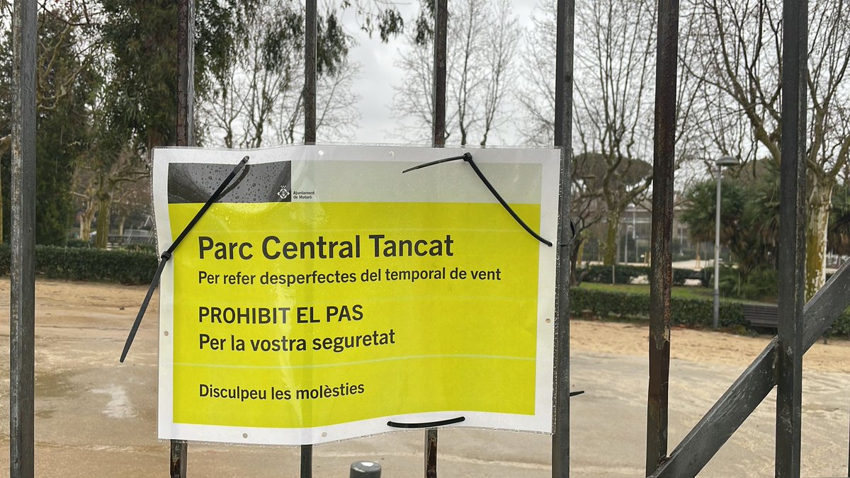 NOTÍCIA // L’episodi excepcional de vent fa caure un centenar d’arbres a Mataró tinyurl.com/5n8sx588