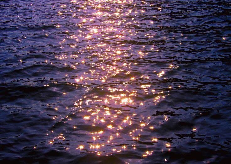 petalesblancs's tweet photo. from sunlight to moonlight https://t.co/Y2eOaKZel7