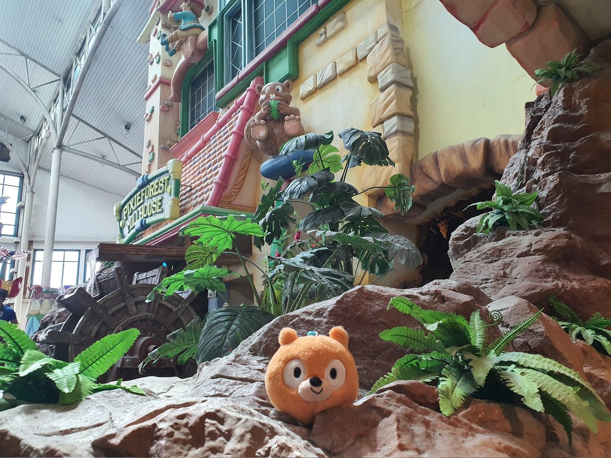 Daily Woff Migration ~○ tweet media