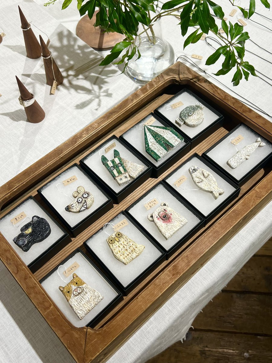 tsugumi (@zakka_tsugumi) / Posts / X