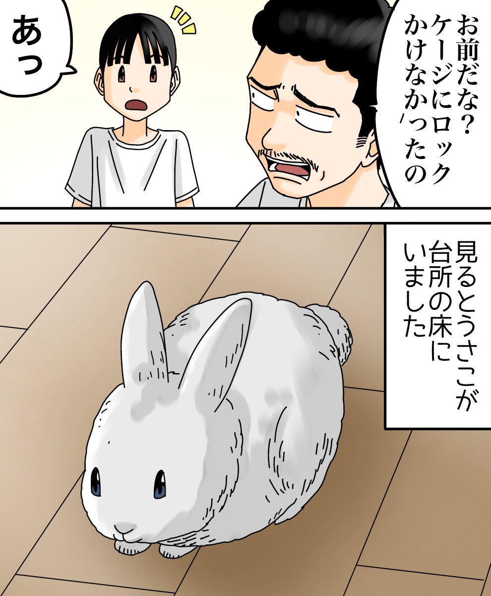 ワープしてきたうさぎ1/3 