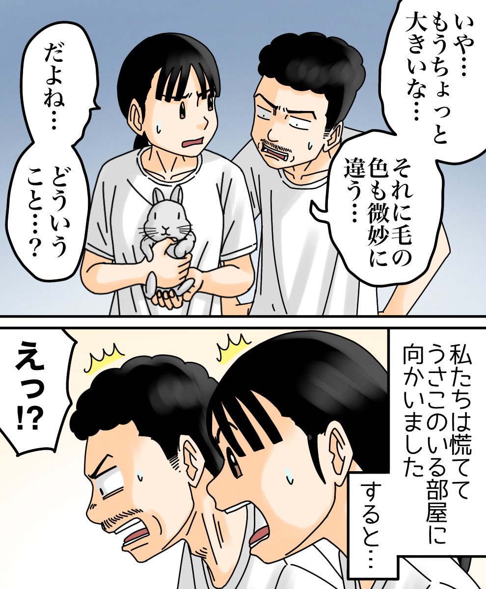 ワープしてきたうさぎ2/3 