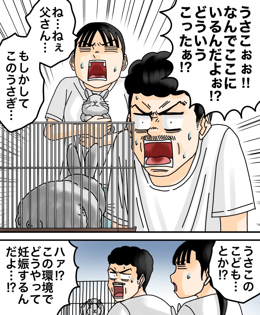 ワープしてきたうさぎ2/3 