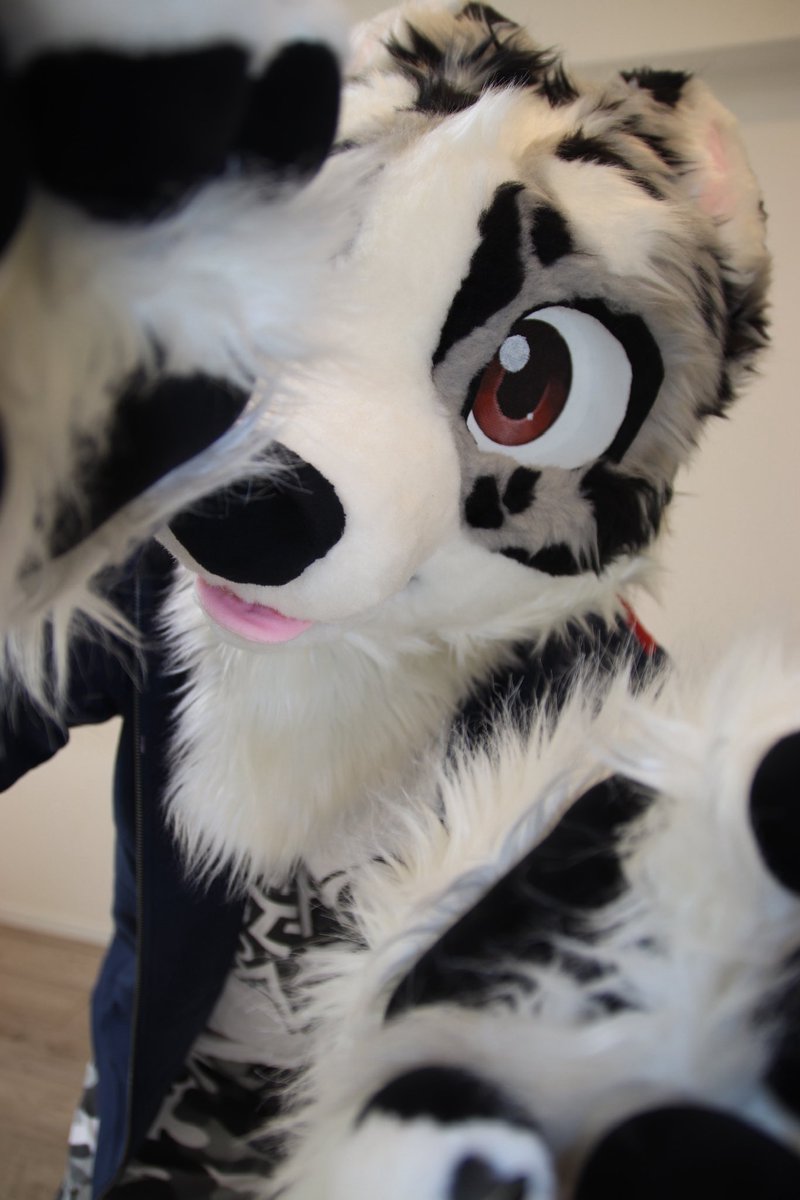 温めてあげようねぇ〜♪🐾🐕 #FursuitFriday #犬犬写真館