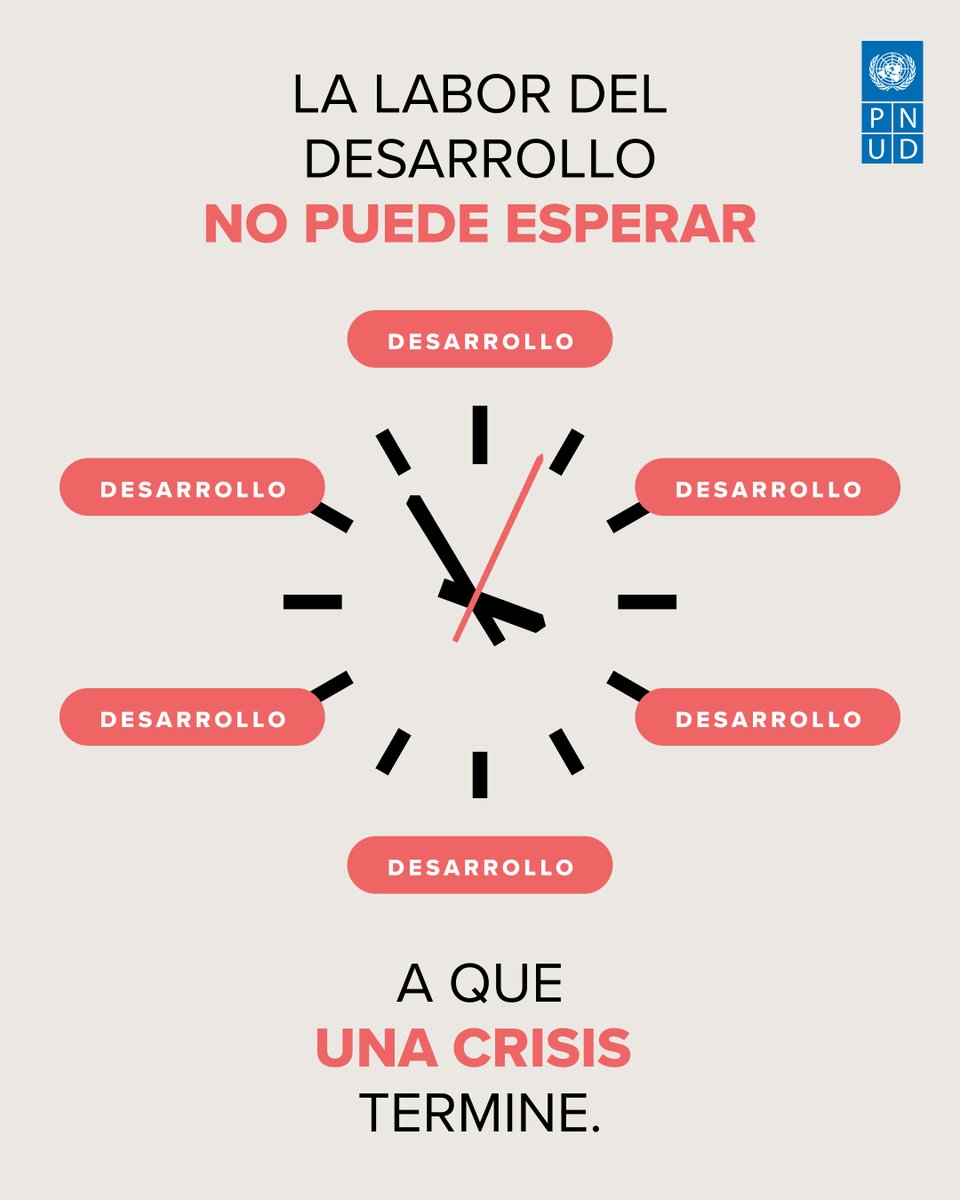 ONU Desarrollo tweet media