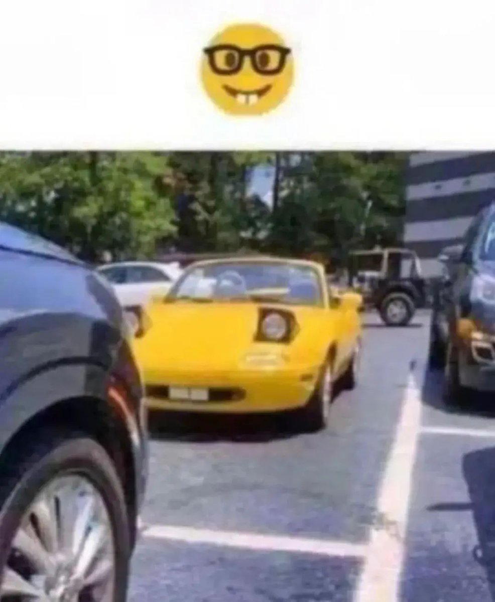 chincheto pirata somali tweet media