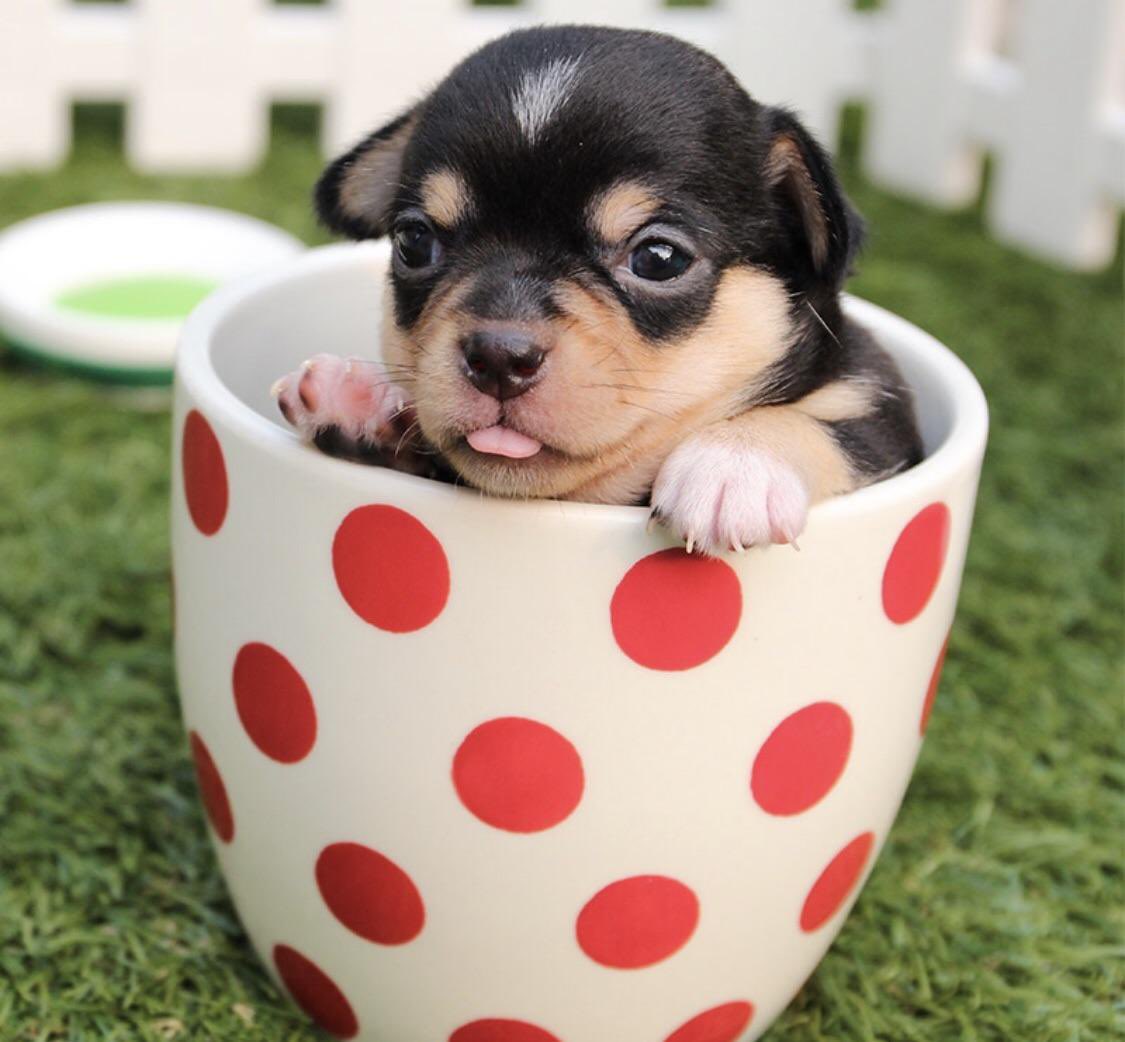 Transform weariness into vibrancy; overflow with love and kindness. #leadership #quote #HR