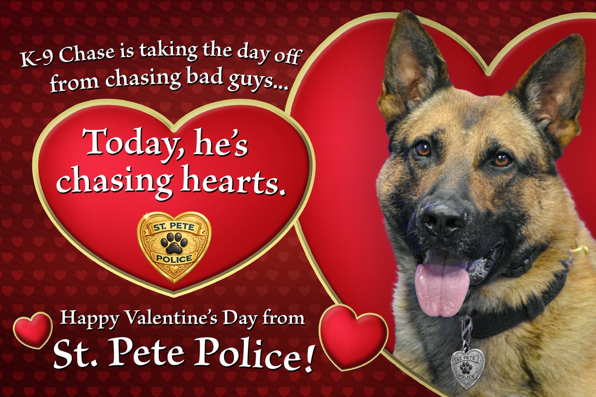 St. Pete Police tweet media