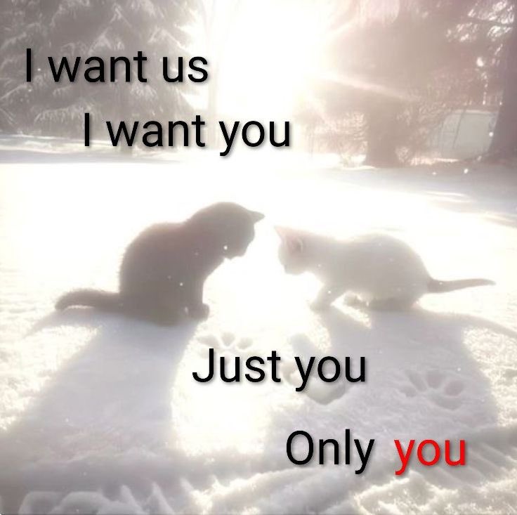 ♡ (@astralbaes) on Twitter photo 