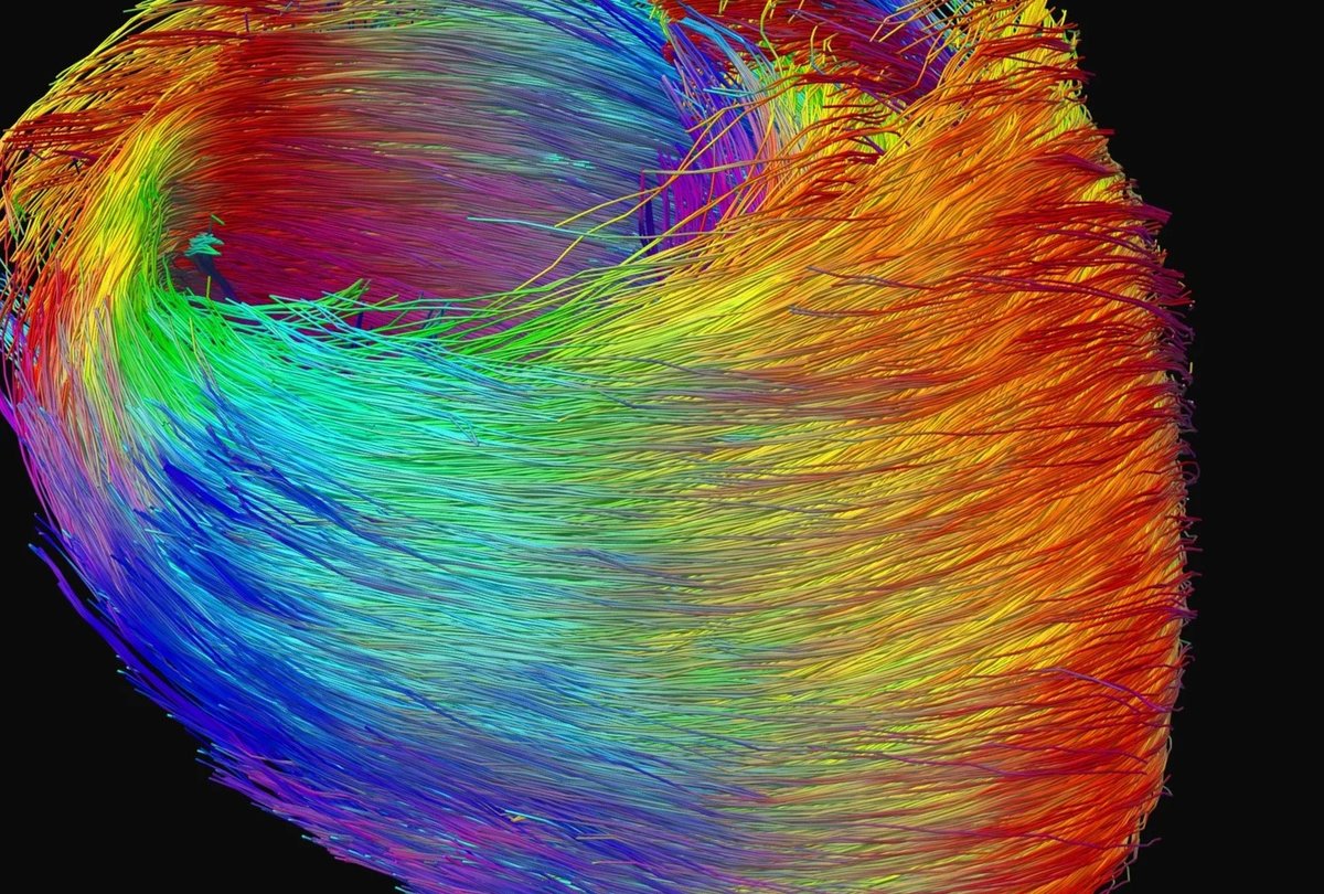 Science in the Pub (PubSci) - now on Bluesky tweet media