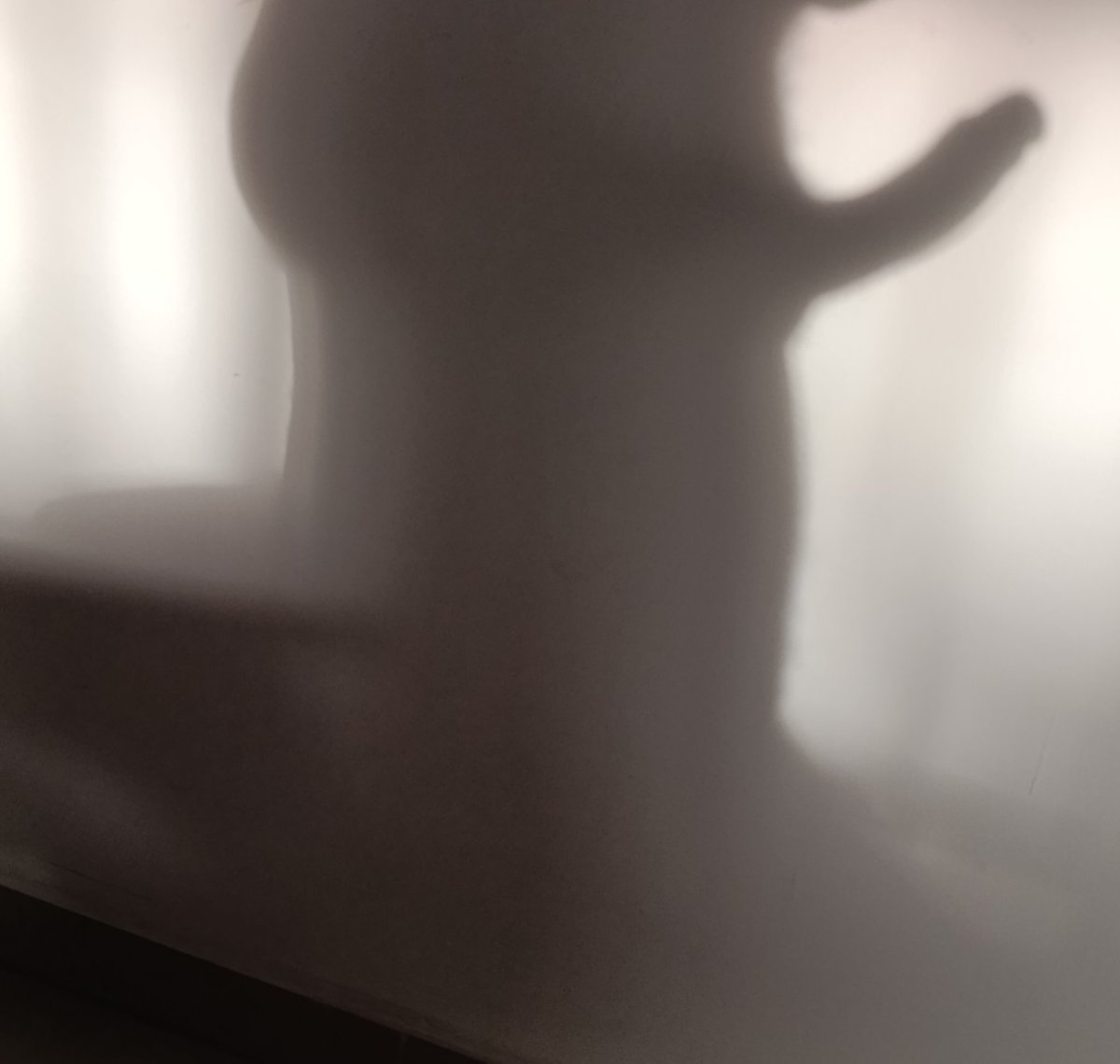 ad_edition71's tweet photo. Sombras nada más. https://t.co/Yxoty2wFlJ