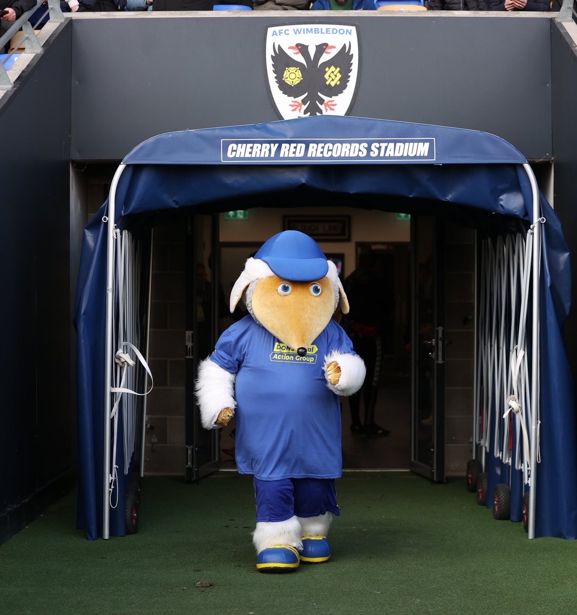 Haydon the Womble tweet media