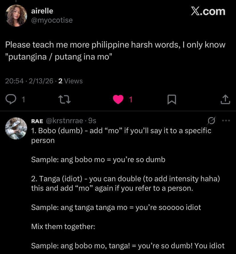 Teaching each other’s curse words was not in my bingo card 😭

Lezgooo SEAblings!!