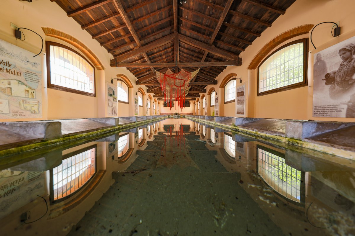 Visit Elba Official tweet media