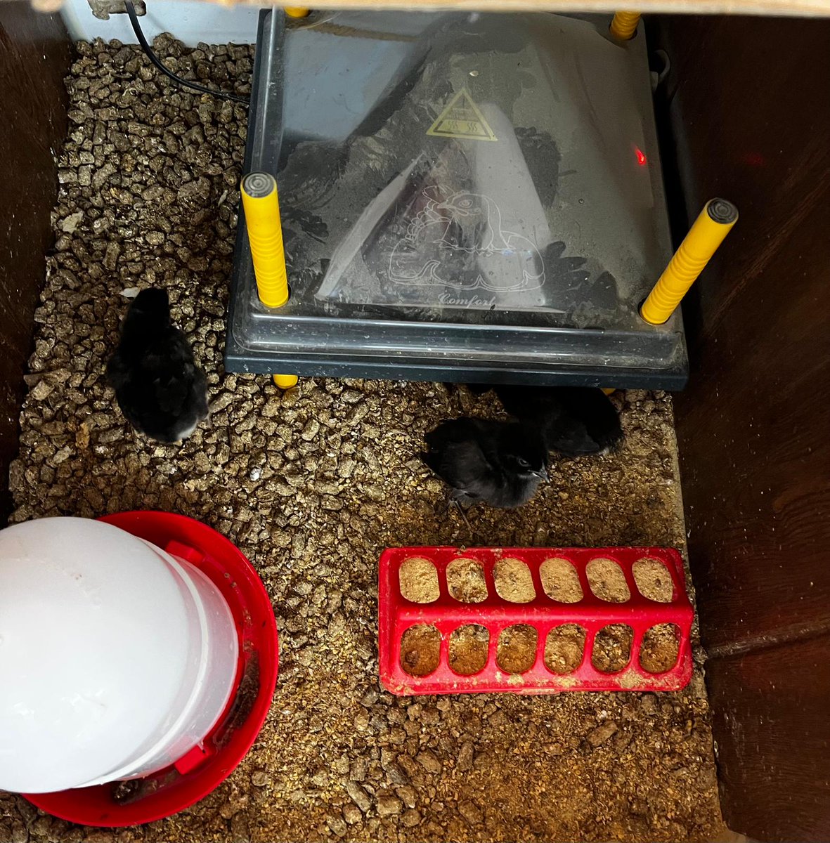 CEIP Claudio Sánchez Albornoz tweet media