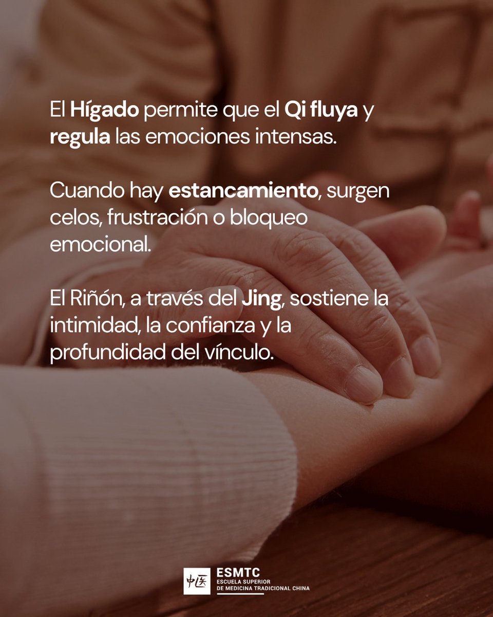 Escuela de MTC tweet media