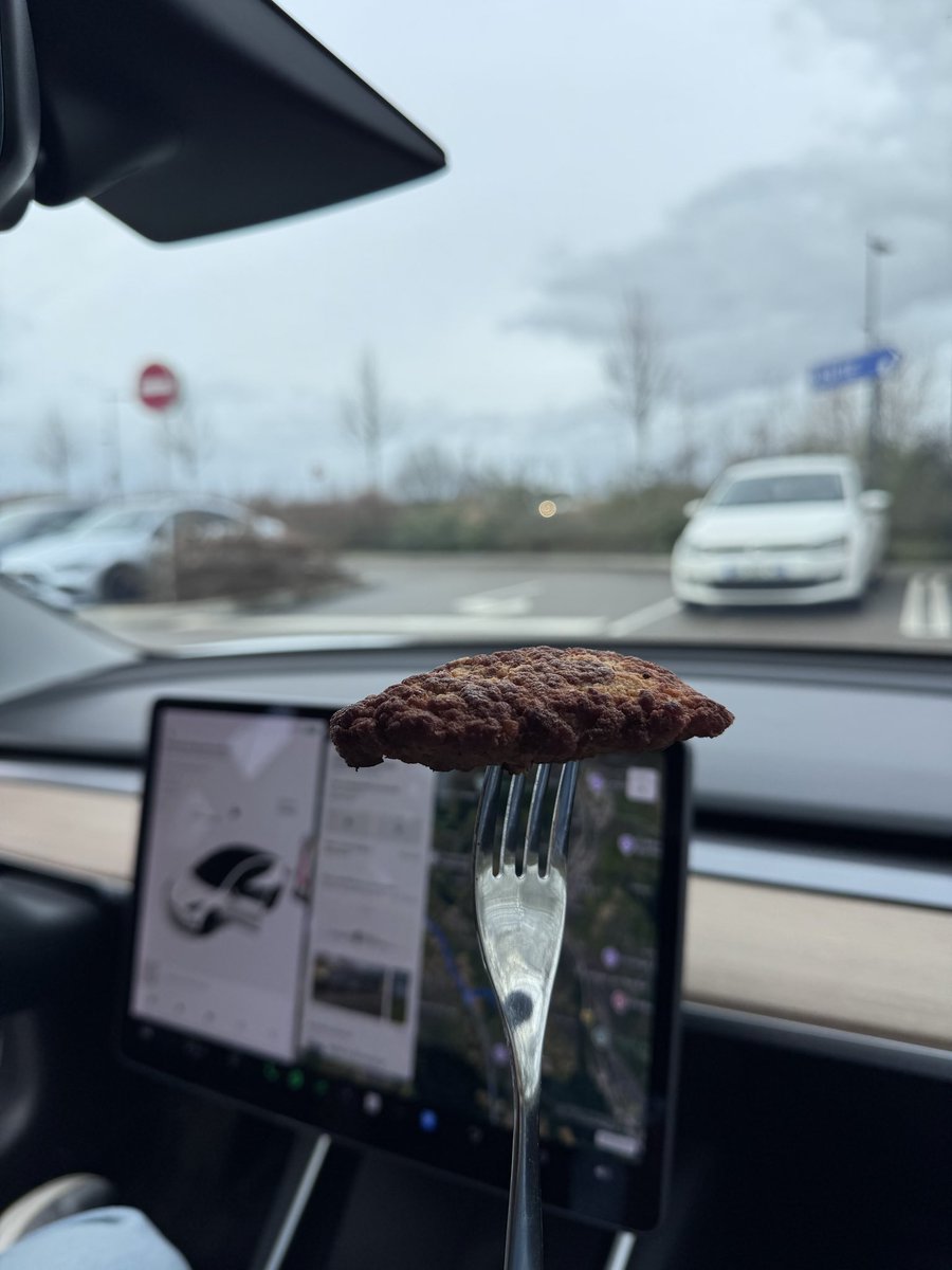 در راهِ مونیخ 🦁