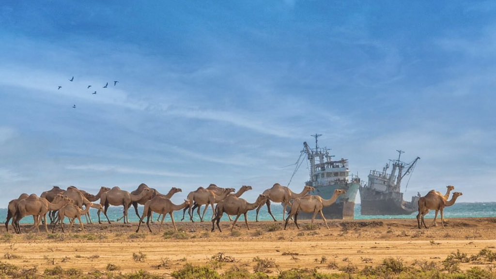 📍 Al-Qahma Beach, #Asir, #Saudi Arabia 📷 🇸🇦