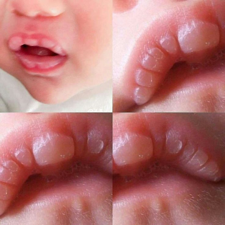 الجوهرة tweet media