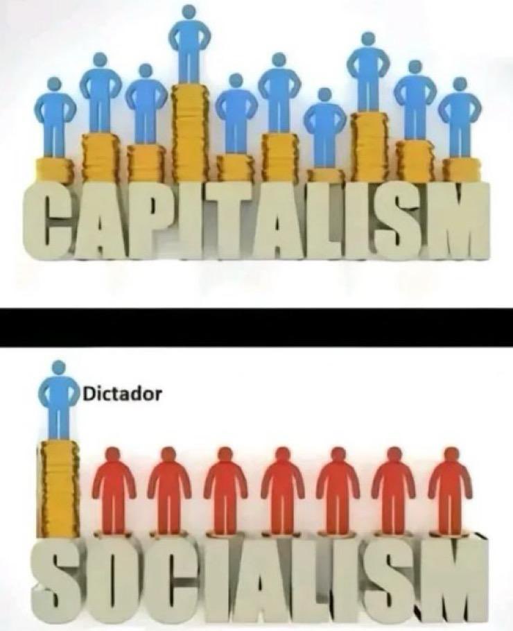 NoVive_Socialis's tweet image. Si