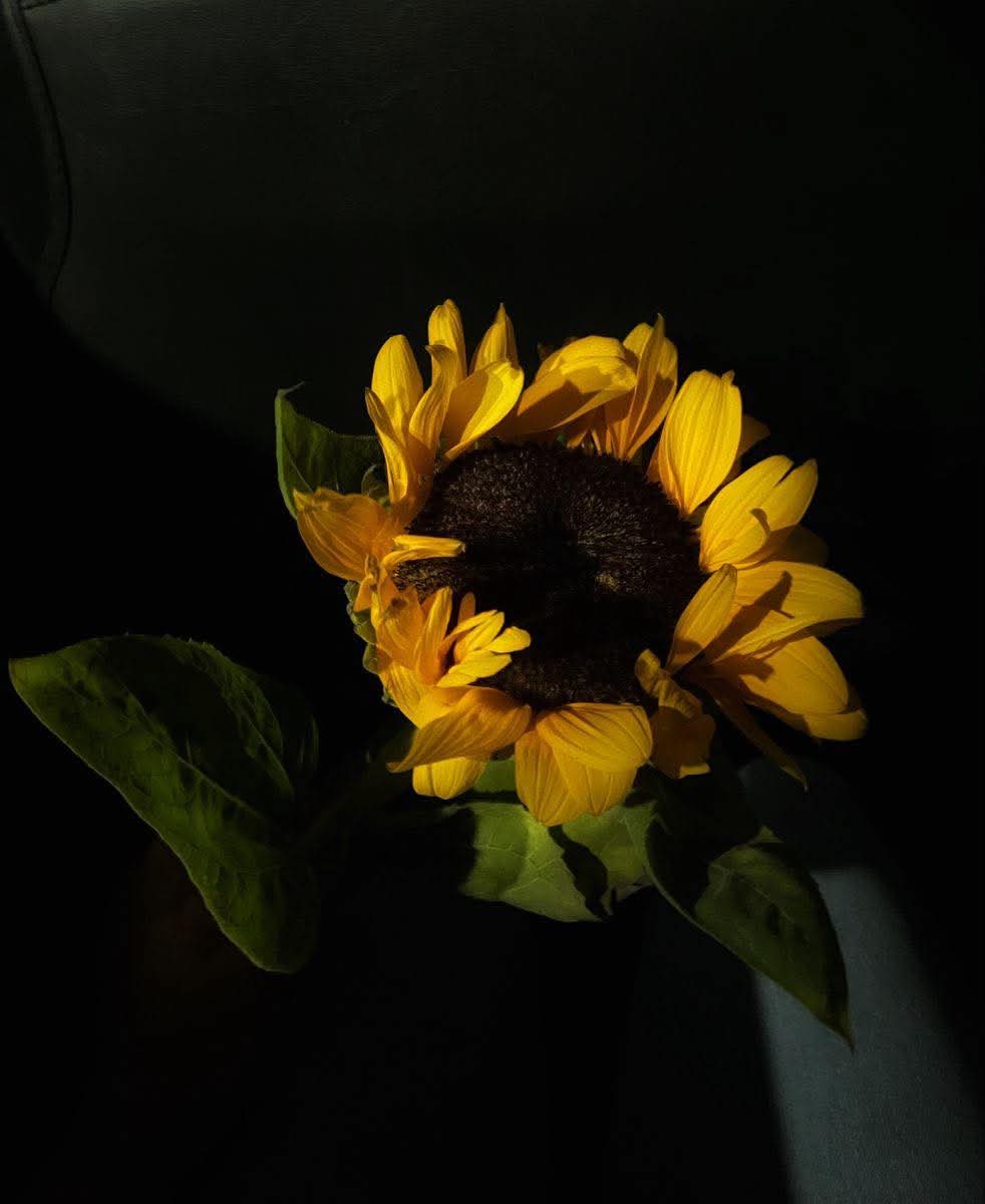 น้อง🍊 tweet media