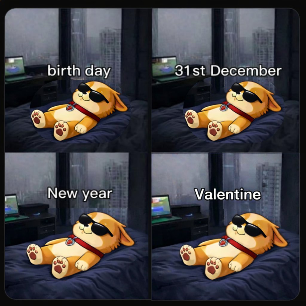 SunDog 🐾 tweet media