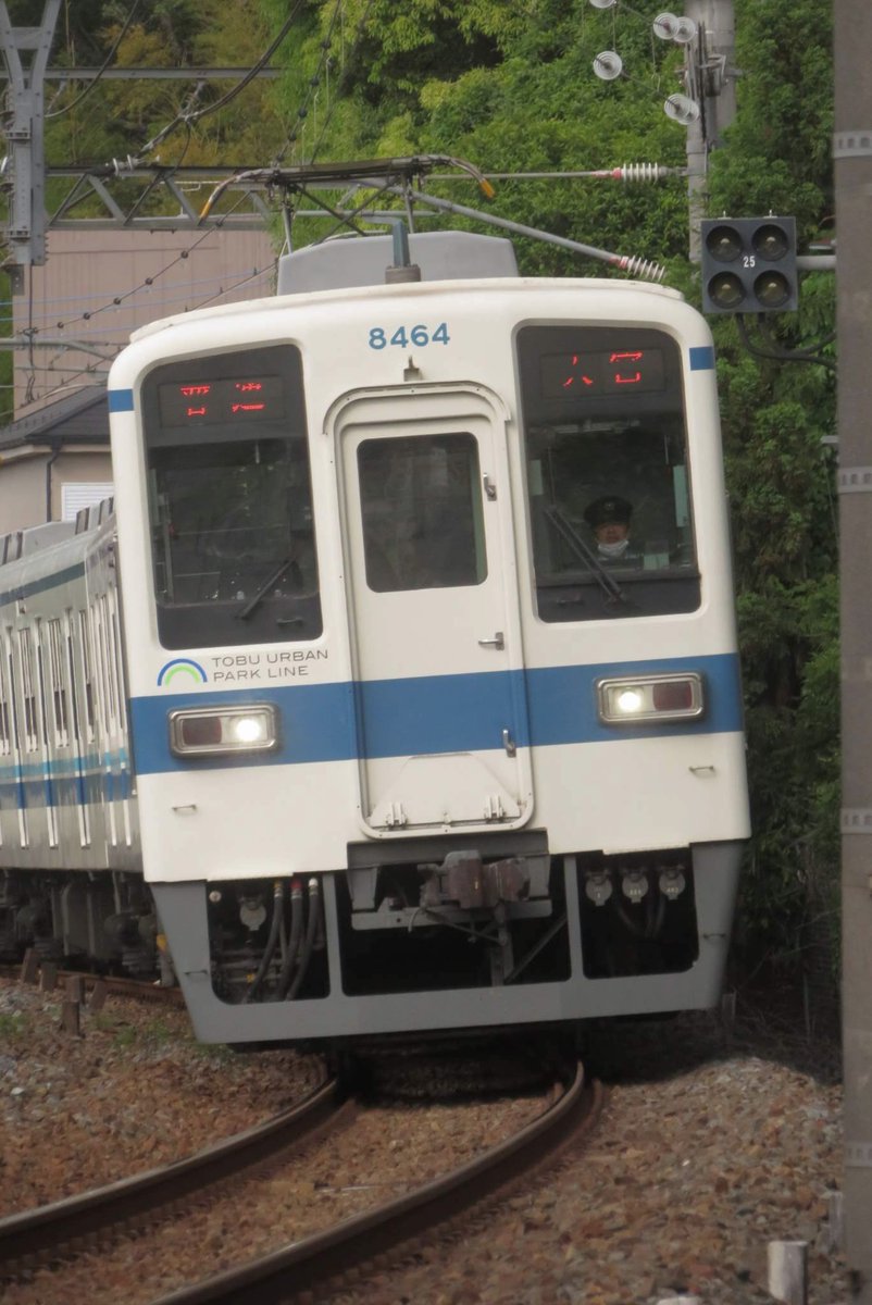 どっかのこんでじ鐵 tweet media